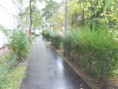 /album/fenykepgaleria/a33-jpg/