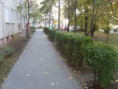 /album/fenykepgaleria/a34-jpg/